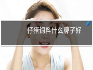 仔猪饲料什么牌子好