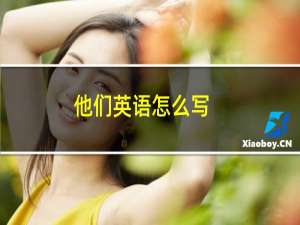 他们英语怎么写