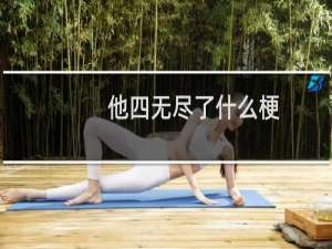 他四无尽了什么梗