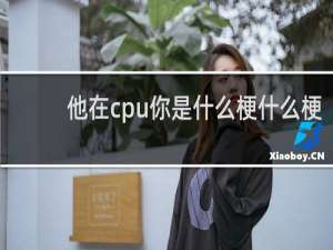 他在cpu你是什么梗什么梗