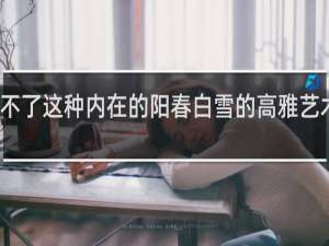 他理解不了这种内在的阳春白雪的高雅艺术出处什么梗