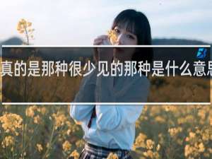 他真的是那种很少见的那种是什么意思什么梗