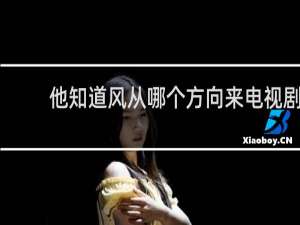 他知道风从哪个方向来电视剧