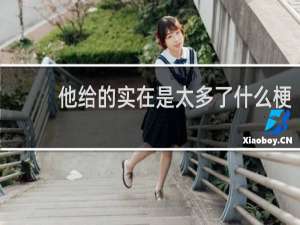 他给的实在是太多了什么梗
