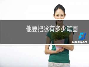 他要把脉有多少笔画