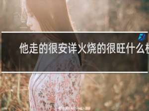 他走的很安详火烧的很旺什么梗？他走的很安详火烧的很旺是什么意思什么梗