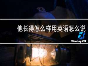 他长得怎么样用英语怎么说