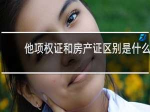 他项权证和房产证区别是什么