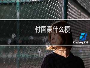 付国豪什么梗