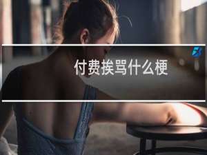 付费挨骂什么梗