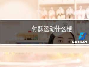 付酥运动什么梗