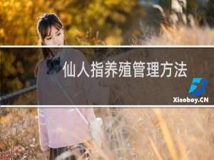 仙人指养殖管理方法