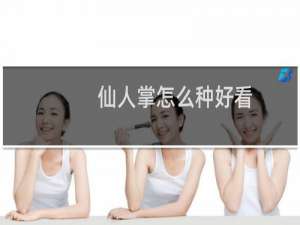 仙人掌怎么种好看
