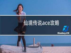 仙境传说ace攻略