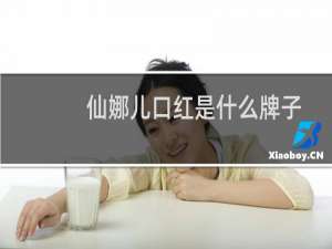 仙娜儿口红是什么牌子