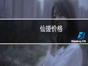 仙搓价格