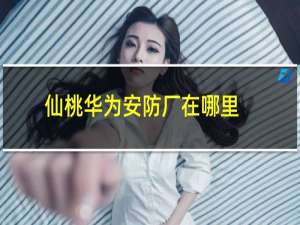 仙桃华为安防厂在哪里
