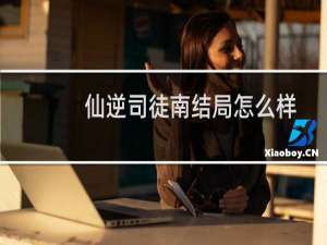 仙逆司徒南结局怎么样（仙逆司徒南结局）