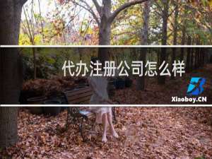 代办注册公司怎么样