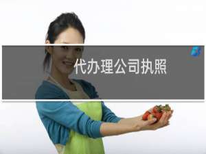 代办理公司执照