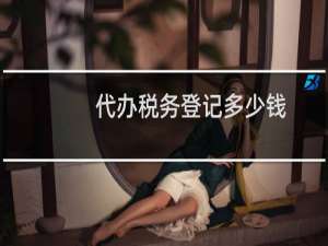 代办税务登记多少钱
