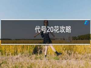 代号 花攻略