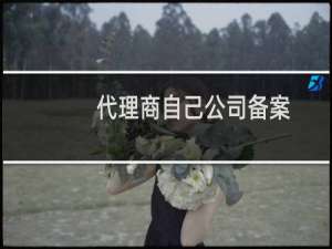 代理商自己公司备案，信息都是真实