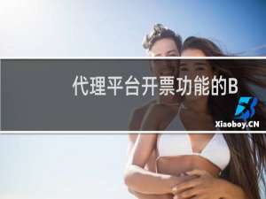 代理平台开票功能的BUG