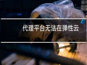 代理平台无法在弹性云上使用吗?