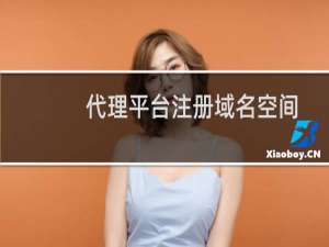 代理平台注册域名空间问题