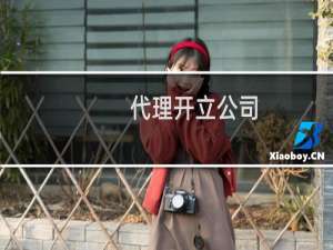 代理开立公司
