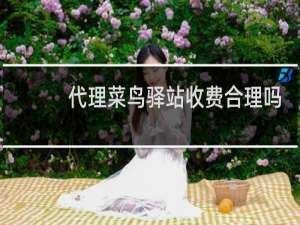 代理菜鸟驿站收费合理吗