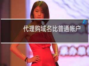 代理购域名比普通帐户购域名还贵？