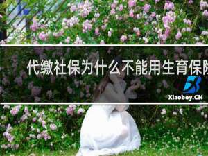 代缴社保为什么不能用生育保险