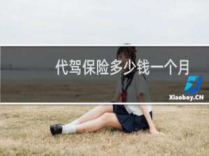 代驾保险多少钱一个月