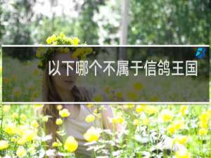 以下哪个不属于信鸽王国