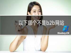 以下哪个不是b2b网站