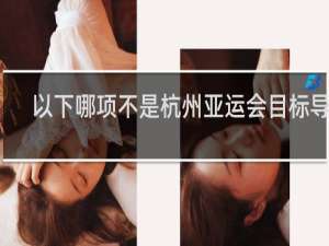 以下哪项不是杭州亚运会目标导向____