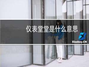 仪表堂堂是什么意思