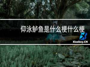 仰泳鲈鱼是什么梗什么梗