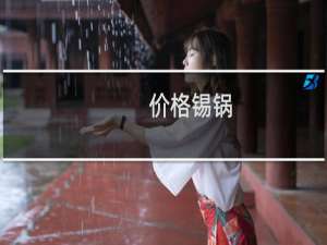 价格锡锅