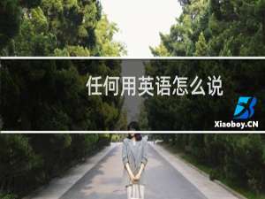 任何用英语怎么说