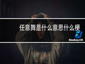 任意舞是什么意思什么梗