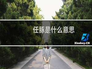 任豚是什么意思，为什么叫任豚什么梗