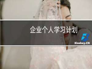 企业个人学习计划
