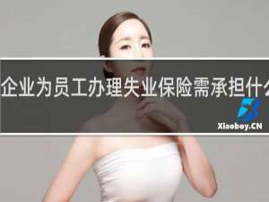 企业为员工办理失业保险需承担什么费用