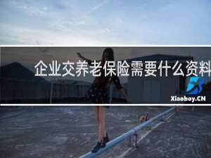 企业交养老保险需要什么资料