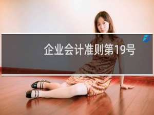 企业会计准则第19号
