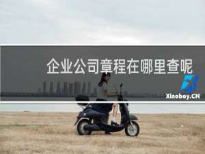 企业公司章程在哪里查呢