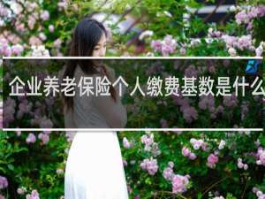 企业养老保险个人缴费基数是什么意思